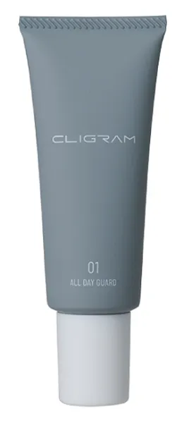 オールデイガード