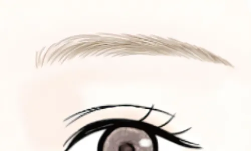 セミアーチ眉