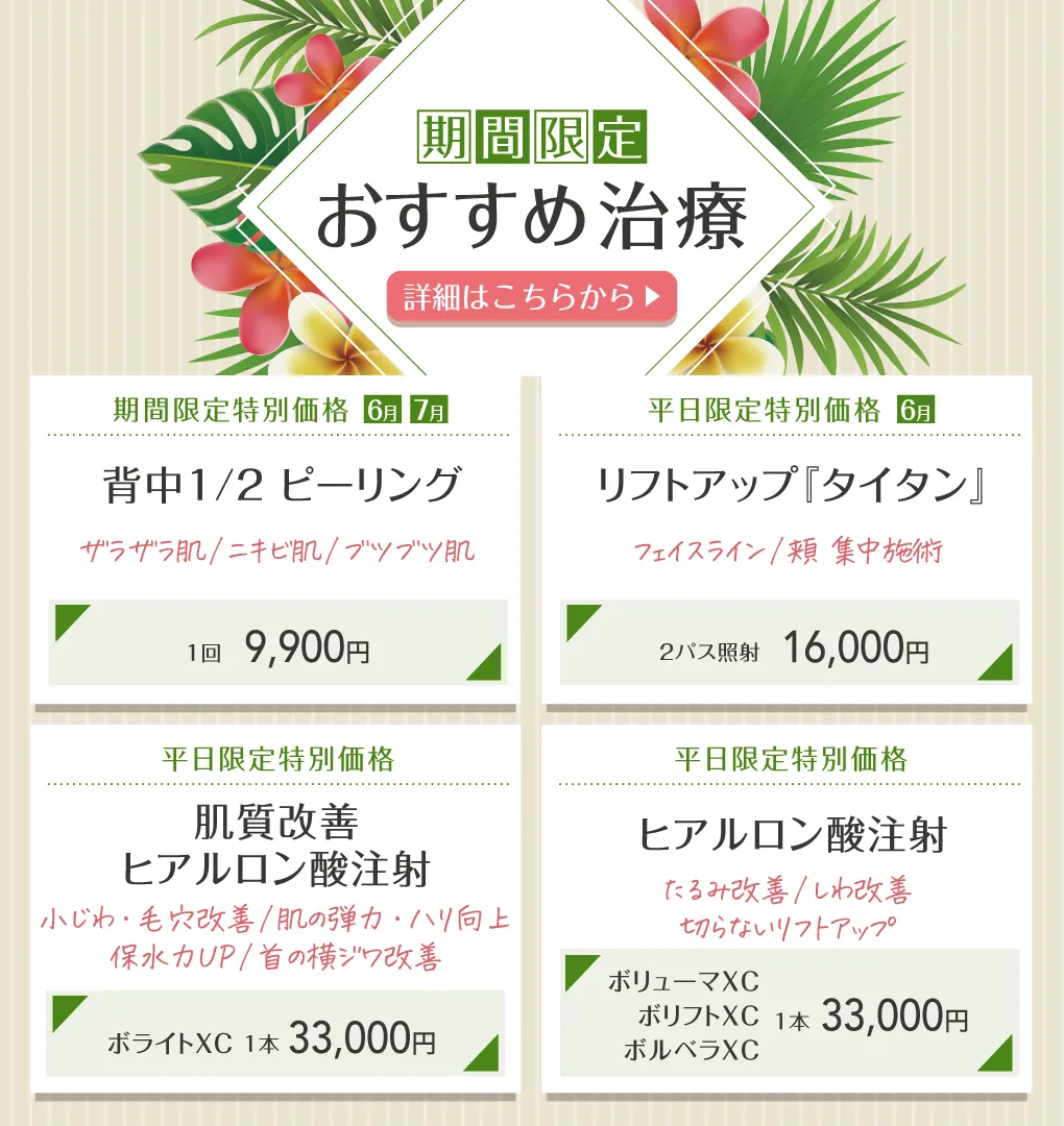 期間限定おすすめ