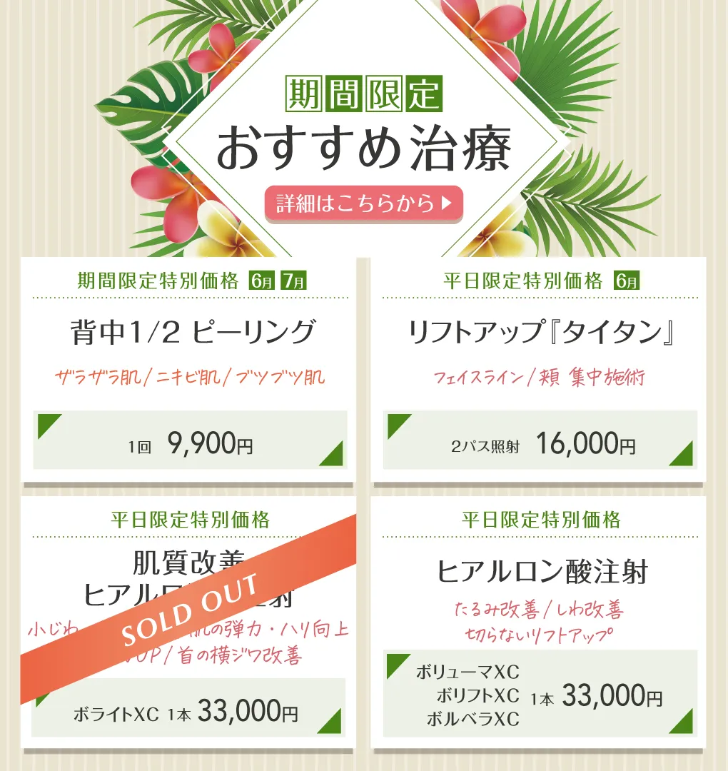 期間限定おすすめ