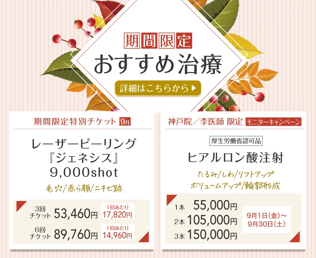 期間限定おすすめ