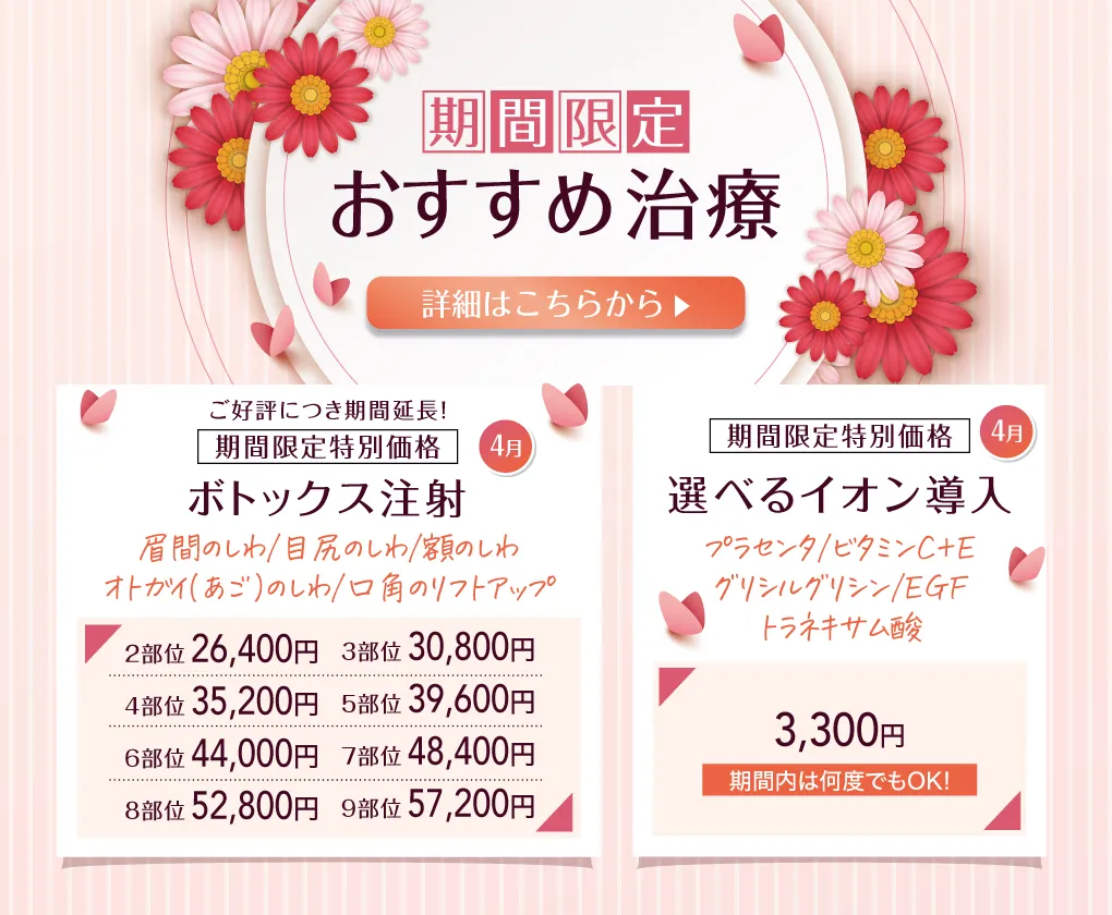 期間限定おすすめ