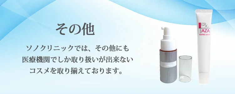 その他