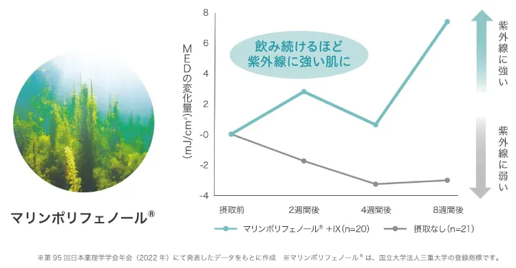 マリンポリフェノール