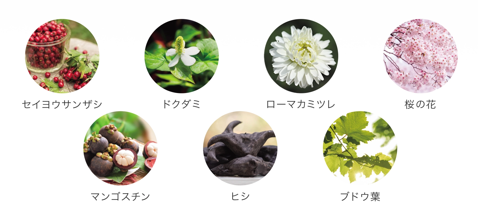 原材料