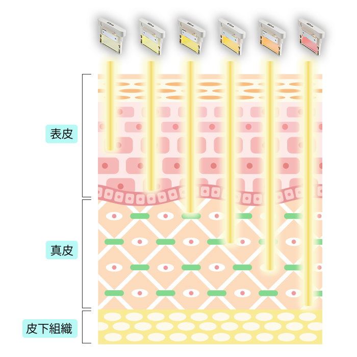 6種類の波長フィルター