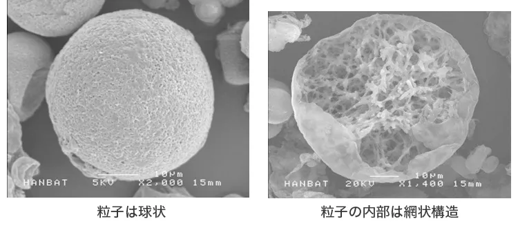 ジュベルックの構造