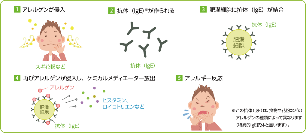 アレルギー反応