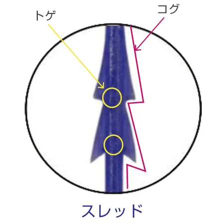 蒙古襞