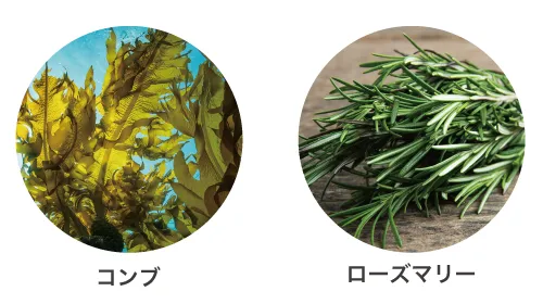 コンブ・ローズマリー