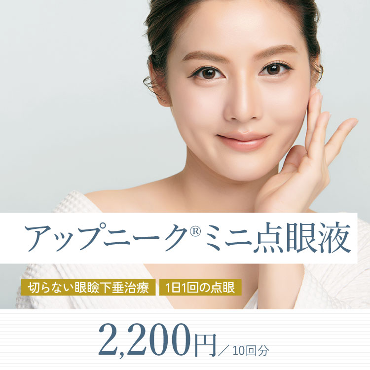 アップニークミニ点眼液